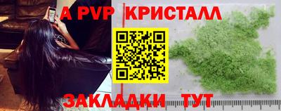 spice Нальчик