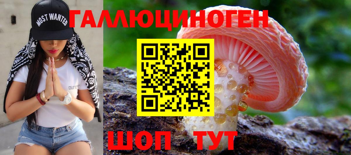 Галлюциногенные грибы Psilocybine cubensis  Вход с VPN  что такое   Псилоцибиновые грибы MAGIC MUSHROOMS  Мичуринск 